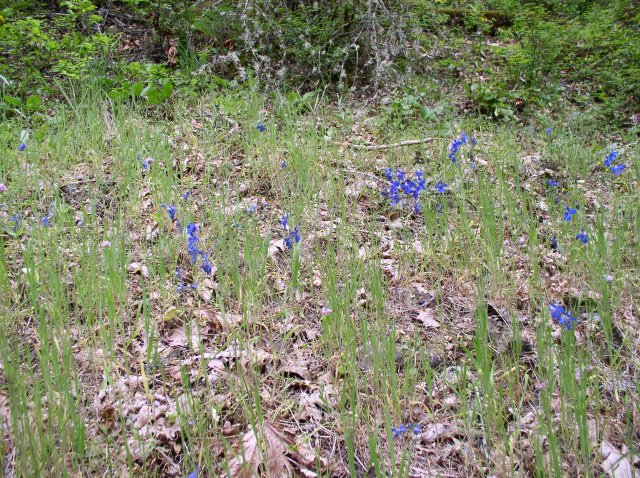 5.5.06 Eagle Creek 010 